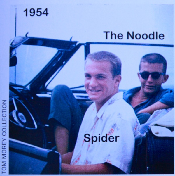 The-Noodle